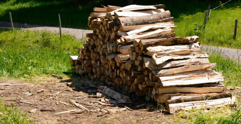 Firewood & Camp Wood Sales (1)