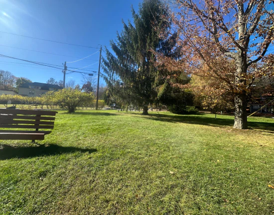 Full Swing Land & Tree Care b