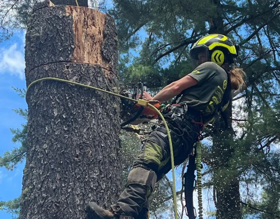 Full Swing Land & Tree Care c