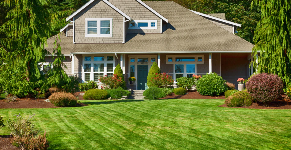 Landscaping & Lawn Care (1)