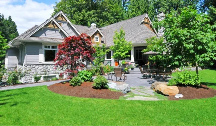 Landscaping & Lawn Care