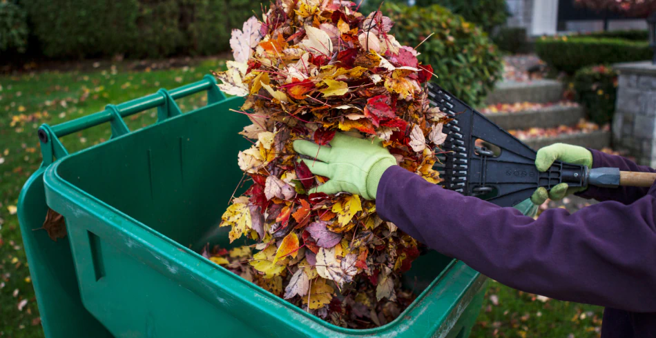 Seasonal Property Cleanup (1)