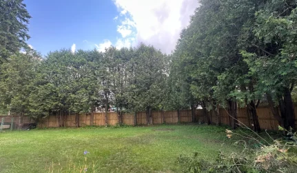 full swing land tree care lake clear ny 2026 01 13T14:30:25.987233Z 94459 1