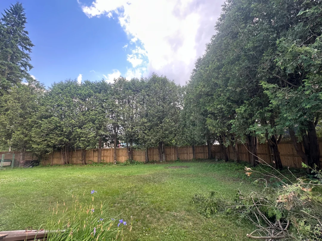 full swing land tree care lake clear ny 2026 01 13T14:30:25.987233Z 94459 1