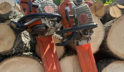 full swing land tree care lake clear ny 2026 01 13T14:30:26.904063Z 98872 1