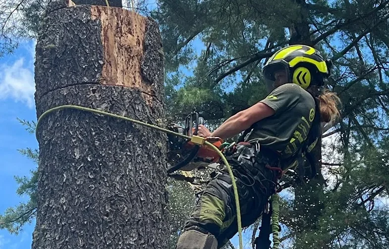 full swing land tree care lake clear ny 2026 01 13T14 29 47.229837Z 31350