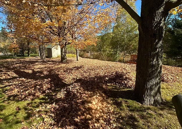 full swing land tree care lake clear ny 2026 01 13T14 29 59.826223Z 51748